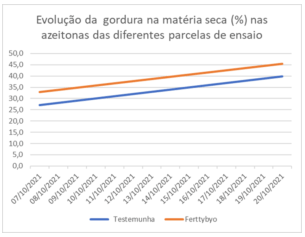 Fitolivos Noticias Olival