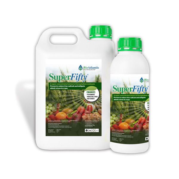 Fitolivos SUPER FIFTY