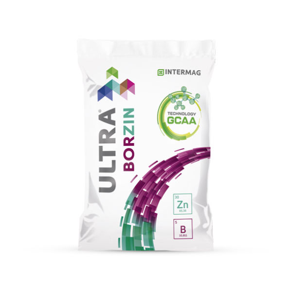 Fitolivos Amino Ultra Borzin